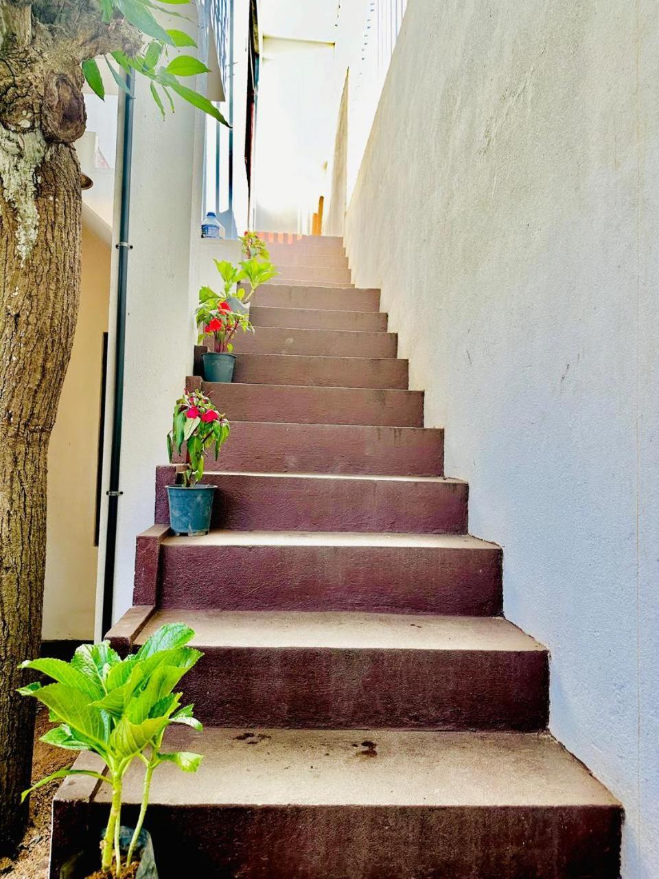 Sea Breeze Guest House Negombo Buitenkant foto