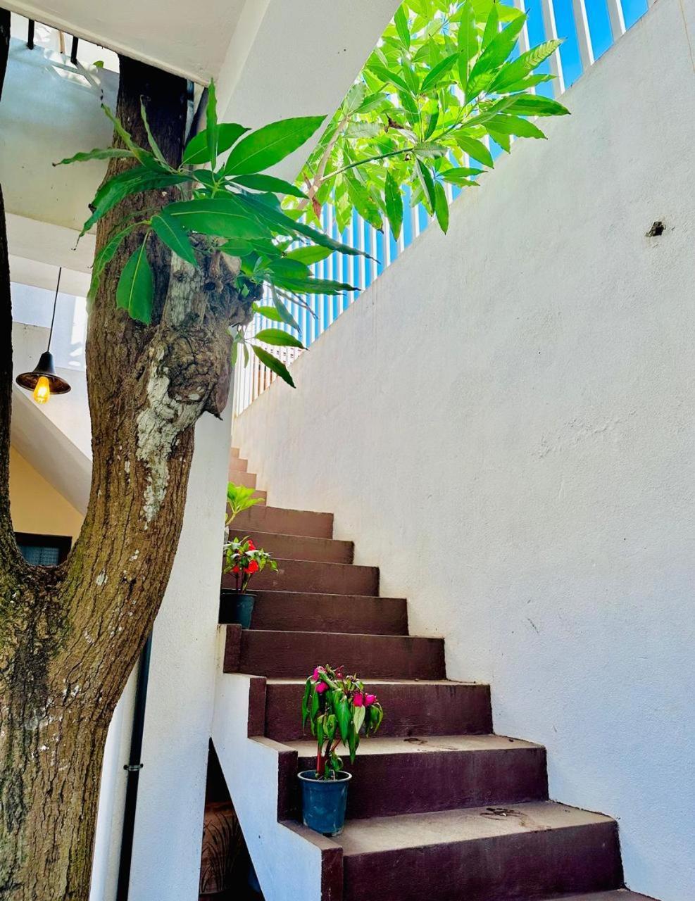 Sea Breeze Guest House Negombo Buitenkant foto